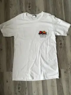 Stussy Fruit Graphic T-Shirt White Sのサムネイル
