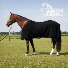 Item thumbnail for item 7d5df345-94b0-4ecf-bc64-026e5eaee354