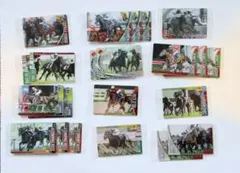 サラブレッドホースコレクション 第3R サイン無し 12種22枚セット