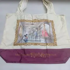 東京ディズニーシー ファンタジースプリングスホテル トートバッグ 非売品