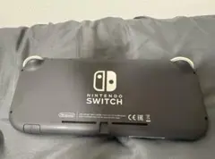 NintendoSwitchLiteグレー カセット付き