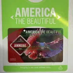 アメリカ国立公園 年パス 12月迄 年間パスポート　ナショナルパーク　USA 3のサムネイル