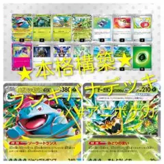 本格構築【メガフシギバナex】環境デッキ