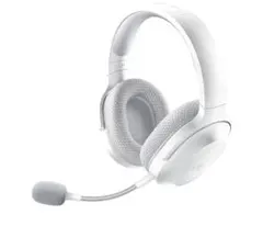 Item thumbnail for item 3bf10456-0309-4946-85a2-091dfb2b5839