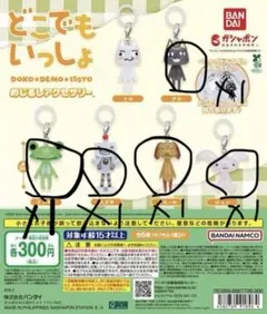 どこでもいっしょめじるしアクセサリー