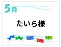 たいら様専用ページ