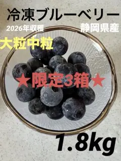 ★本日大特価★３個限定★冷凍ブルーベリー　1.8kg 大粒中粒　今シーズンのサムネイル
