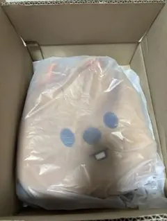 Skzoo Straykids ハンクォッカ face tote bag - メルカリ