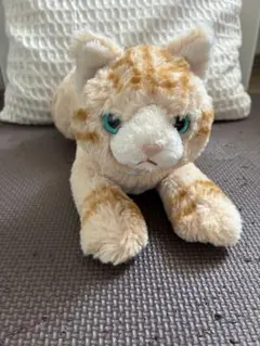 ひざねこ サンレモン　チャトラ