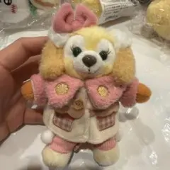 新品タグ付　クッキーアン　ぬいぐるみバッジ　シークレット　オブ　スノーウィーデイ