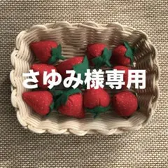 フェルトままごと☆いちご20個セット☆専用ページ