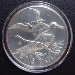 め*マ様 オーストラリア・カンガルー 純銀1オンス銀貨 - メルカリ