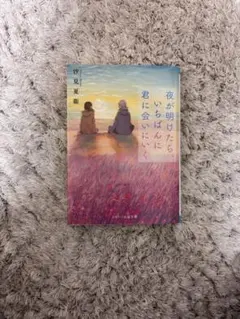 夜が明けたらいちばんに君に会いにいく