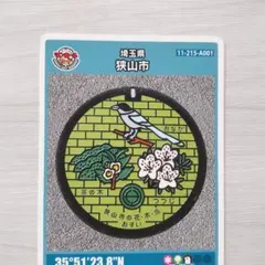 ハリボテまっく様 リクエスト 10点 まとめ商品