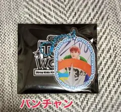 スキズ　SKZ トイワールド