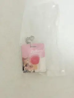 ズートピア　ブリスターチャームコレクション