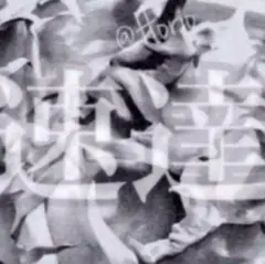 抜き苗　速達変更　追加料金　差額　249グラム以下