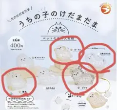 うちの子のけだまだま　犬のけだまだま