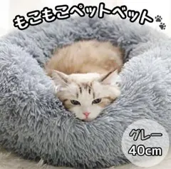 Item thumbnail for item 29409d22-d6bc-4866-be38-55d3db0d92c8