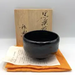 Item thumbnail for item 2a9e2470-32c9-48ce-8aea-0331405935dc