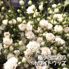 野苺✱*。様 リクエスト 2点 まとめ商品