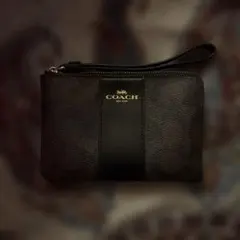 COACH ブラックレザーポーチ