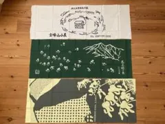 Item thumbnail for item a8ca7cd4-9a1d-48f3-8735-d6cf2e9f77eb