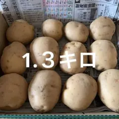 農薬不使用　キタアカリ　箱込み1.3キロのサムネイル