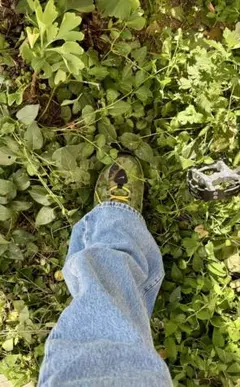 Item thumbnail for item 883515c0-b611-4c82-a1b1-875ae8d14c9f