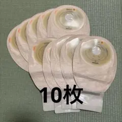 Item thumbnail for item 2b4e40ca-0f21-4272-bb5b-424a66ab450b