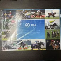 新品未開封　JRA　カレンダー　2025年　愛すべきスターホースたち