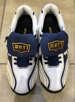 Item thumbnail for item 54bbdd8e-8fa5-4c4d-a198-4bd8a5b3217c