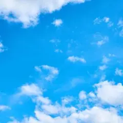 専用ページ