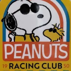 スヌーピーNEWステッカー　耐性・耐水性バツグン！ジョークール