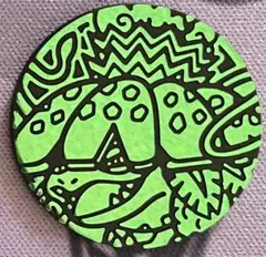 ポケモンカードゲーム　フシギバナV MAXコイン