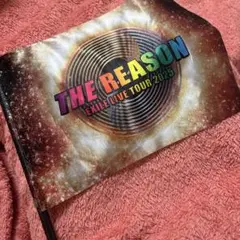 THE REASON フラッグ