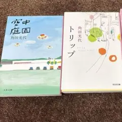 Item thumbnail for item 72d1cf1a-d030-436b-86ba-f0468e97717c