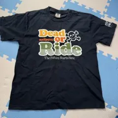Real Bvoice リアルビーボイス Tシャツ M ネイビー