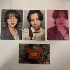 USOTSUKI アダム トレカ ３点セット　STARGLOW