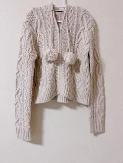 ZARA ジップニット