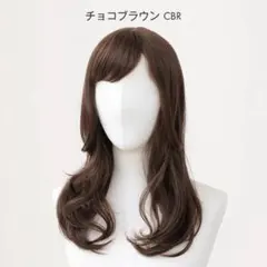 Linera-Storia 可憐な  編み込みウィッグ ダークブラウン ミディア Linea storiaダークブラウン ストレート ミディアムウィッグ - メルカリ