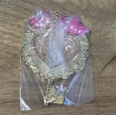 サンリオ キャラクターズ きらっと マジカルチャーム ビスケット こぎみゅん ①