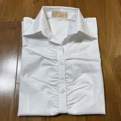 Item thumbnail for item 445dc10d-7b84-4650-a2e6-cbba6e9f6fdd