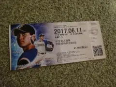 日本ハムファイターズ フィールドシートチケット 2013/8/29 大谷翔平 日本ハムファイターズ フィールドシートチケット 2013/8/29 大谷翔平