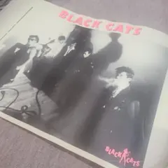 2025年最新】ポスター ブラックキャッツの人気アイテム - メルカリ