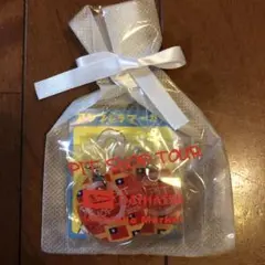 新品未使用　アンブレラマーカー　キーホルダー