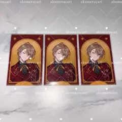 VOLTACTION×3SKM IMPACT 太陽組 チェキ風カード 風楽奏斗