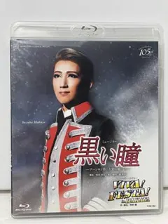 Item thumbnail for item cb337067-6e62-45df-ac99-781b3ac4f94c