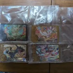 ポケモンフレンダーレガシー3枚 ワンダー1枚