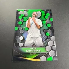 Item thumbnail for item 2043c048-86c0-496a-bfeb-4dfd9516276e